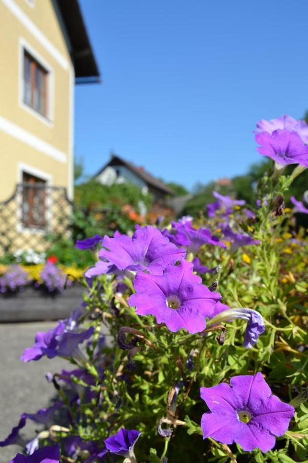 Апартаменти Haus Lindenhofer Еммерсдорф-ан-дер-Донау Екстер'єр фото